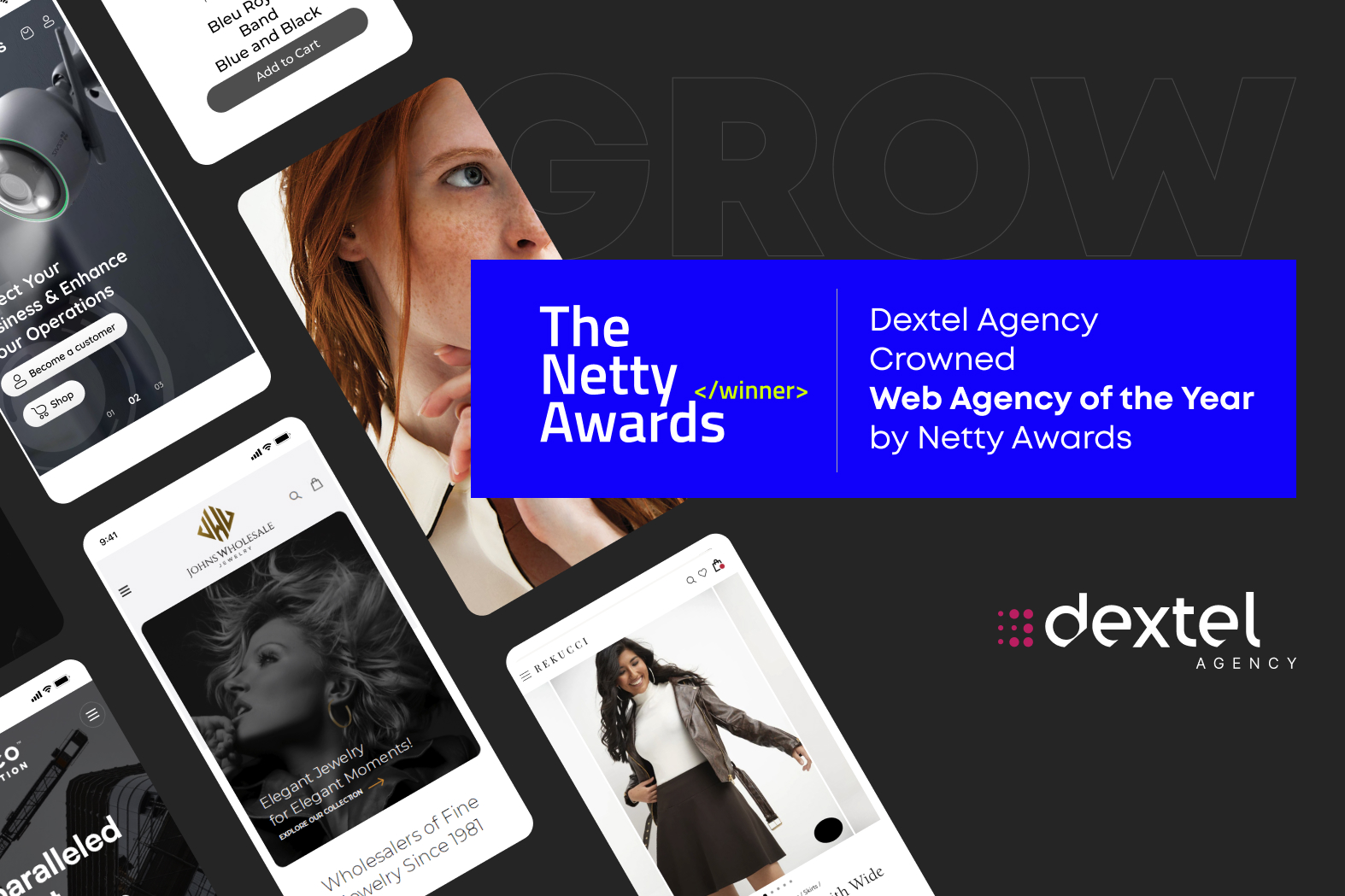 Web Agency of the Year 2024